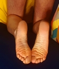 photo gallery